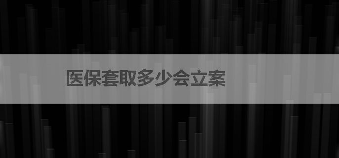 医保套取多少会立案