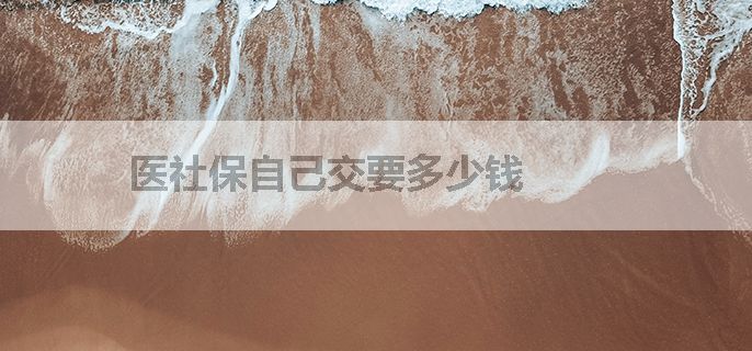 医社保自己交要多少钱