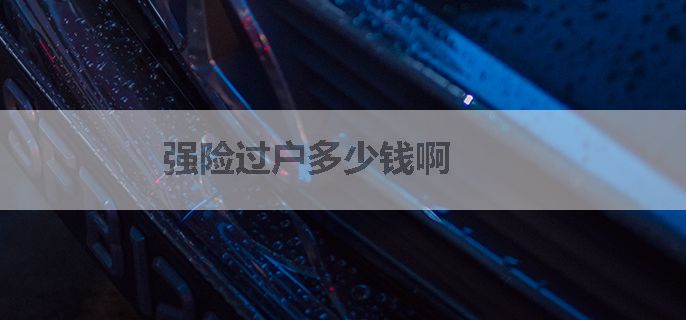 强险过户多少钱啊