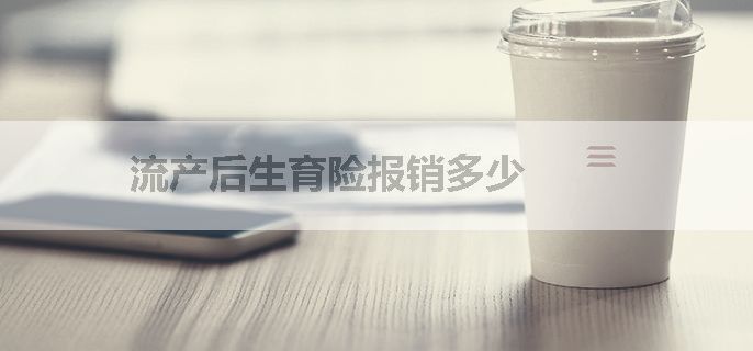 流产后生育险报销多少