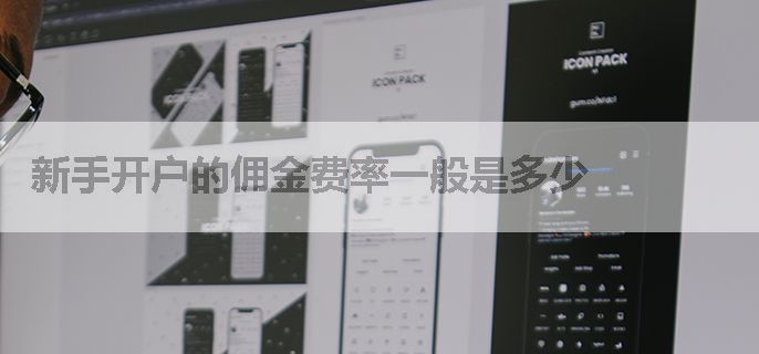 新手开户的佣金费率一般是多少