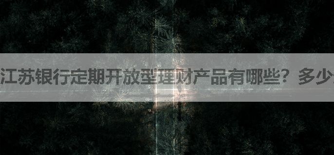 江苏银行定期开放型理财产品有哪些？多少起购呢？