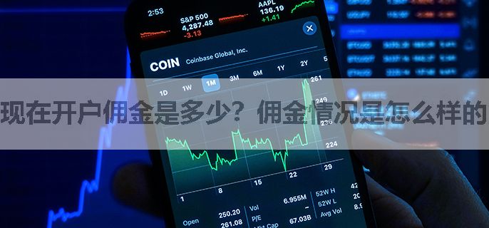 现在开户佣金是多少？佣金情况是怎么样的呀