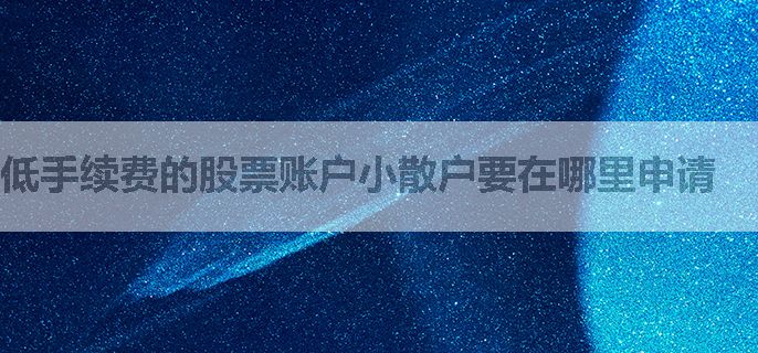 低手续费的股票账户小散户要在哪里申请