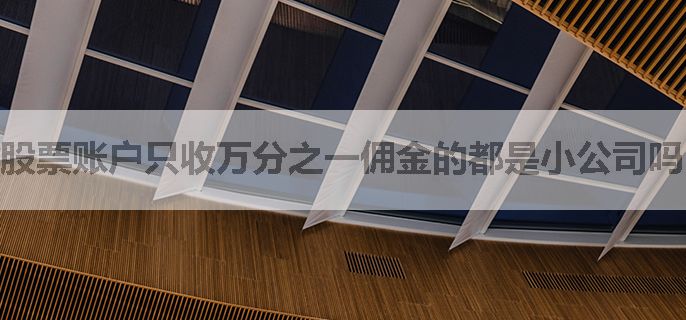 股票账户只收万分之一佣金的都是小公司吗