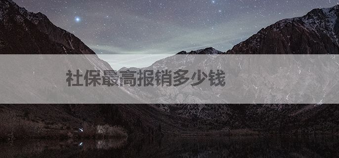 社保最高报销多少钱