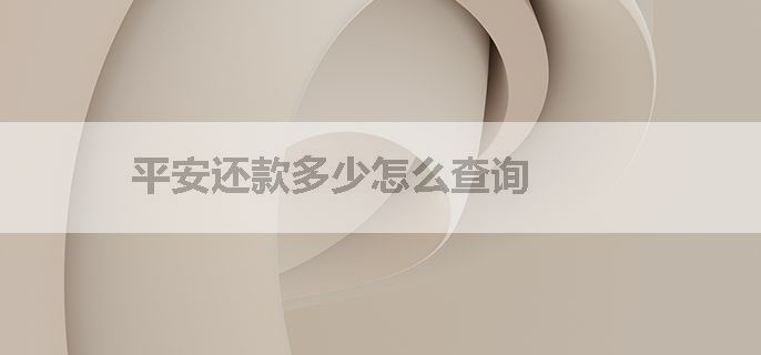 平安还款多少怎么查询