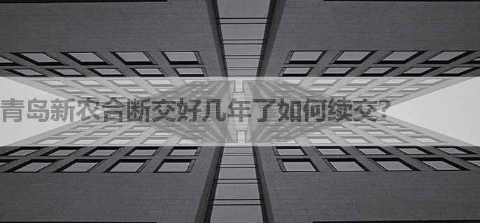 青岛新农合断交好几年了如何续交？