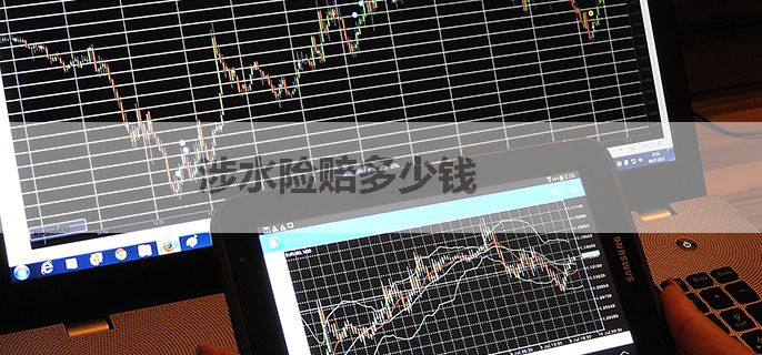 涉水险赔多少钱