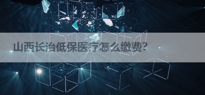 山西长治低保医疗怎么缴费？