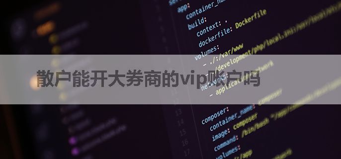 散户能开大券商的vip账户吗
