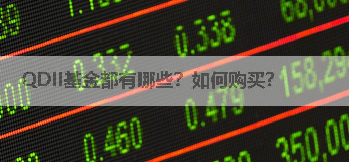QDII基金都有哪些？如何购买？