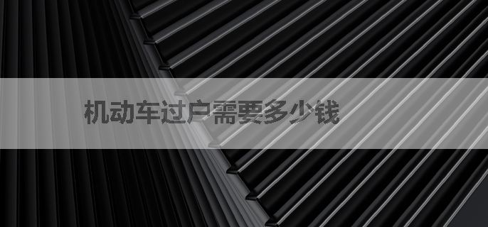 机动车过户需要多少钱