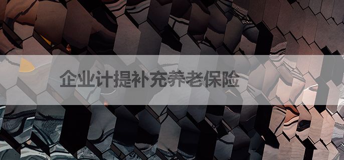 企业计提补充养老保险