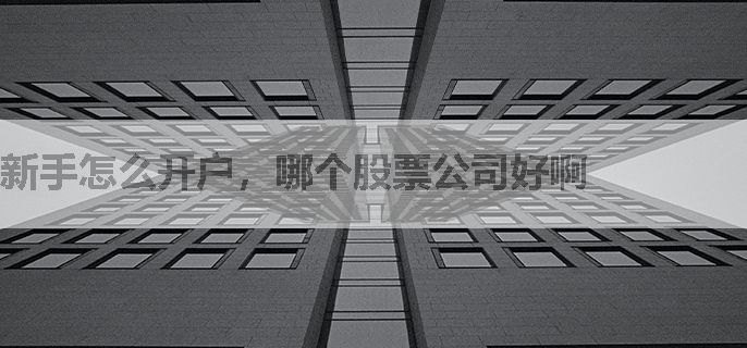 新手怎么开户，哪个股票公司好啊