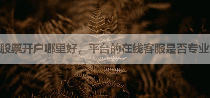 股票开户哪里好，平台的在线客服是否专业且耐心？