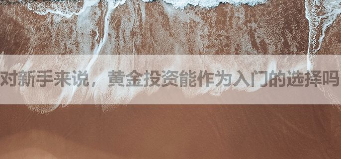 对新手来说，黄金投资能作为入门的选择吗？