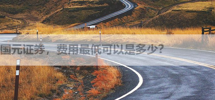 国元证券，费用最低可以是多少？