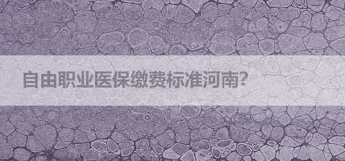 自由职业医保缴费标准河南？