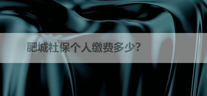 肥城社保个人缴费多少？