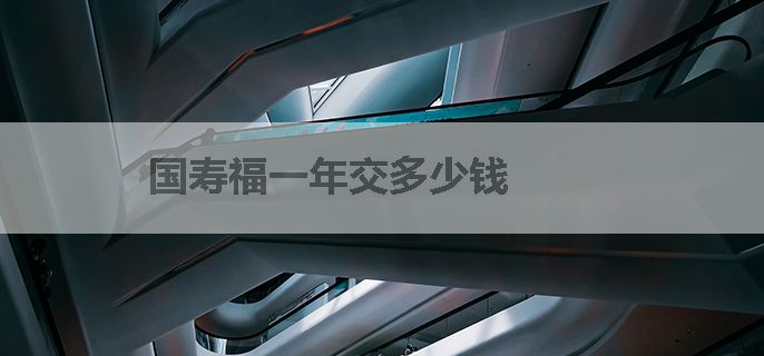国寿福一年交多少钱