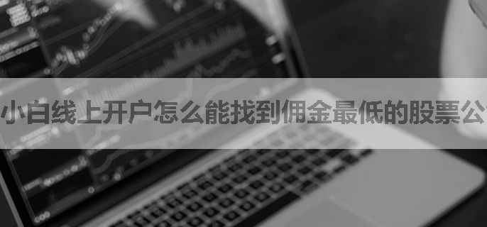 小白线上开户怎么能找到佣金最低的股票公司呢