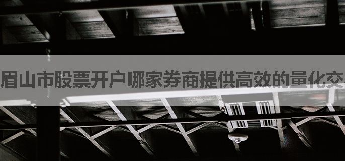 眉山市股票开户哪家券商提供高效的量化交易组合管理工具？