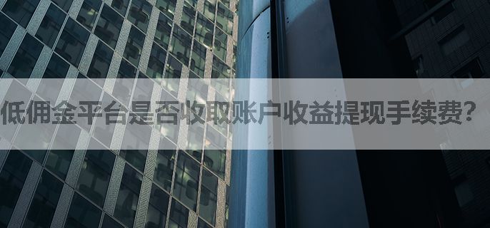低佣金平台是否收取账户收益提现手续费？