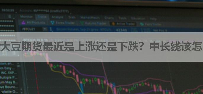 大豆期货最近是上涨还是下跌？中长线该怎么做