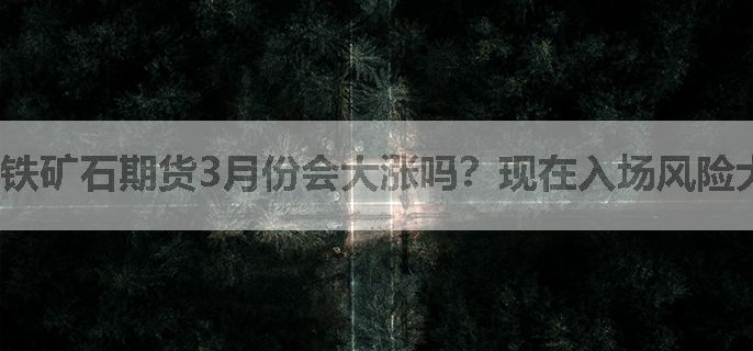铁矿石期货3月份会大涨吗？现在入场风险大吗？