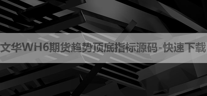 文华WH6期货趋势顶底指标源码-快速下载