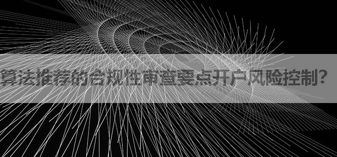 算法推荐的合规性审查要点开户风险控制？