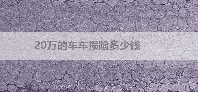 20万的车车损险多少钱