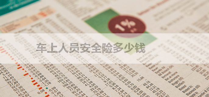 车上人员安全险多少钱