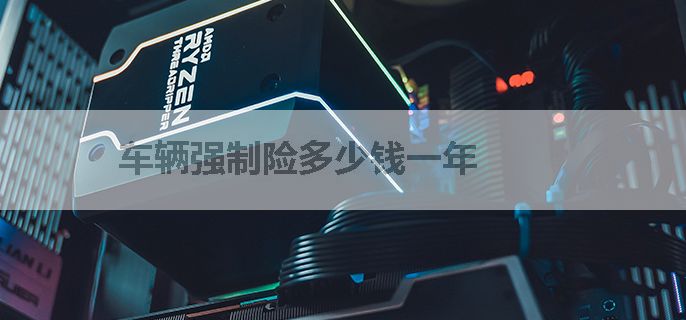 车辆强制险多少钱一年