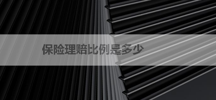 保险理赔比例是多少