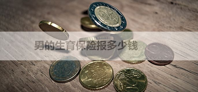男的生育保险报多少钱