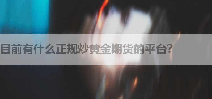 目前有什么正规炒黄金期货的平台？