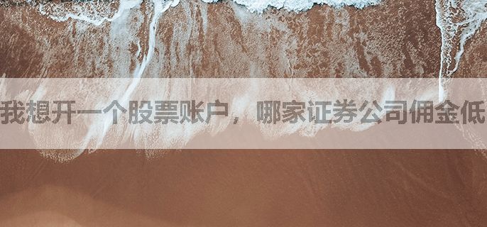 我想开一个股票账户，哪家证券公司佣金低