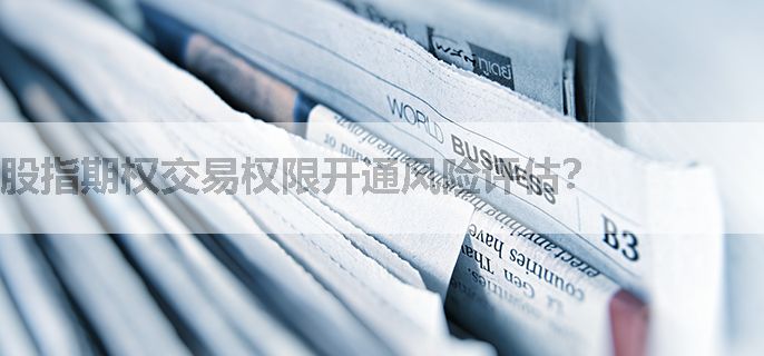 股指期权交易权限开通风险评估？