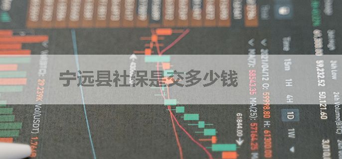 宁远县社保是交多少钱