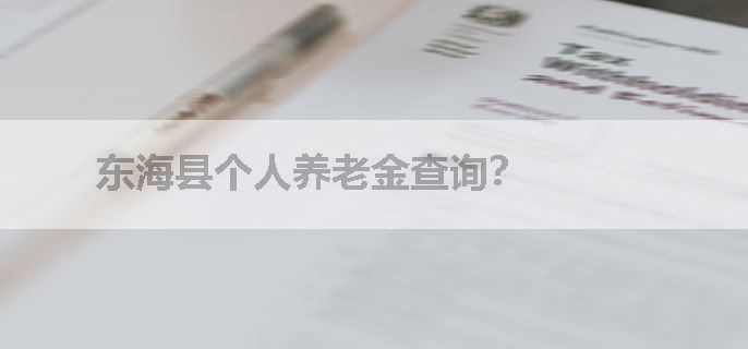 东海县个人养老金查询？