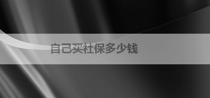 自己买社保多少钱