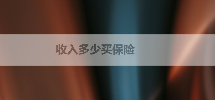 收入多少买保险