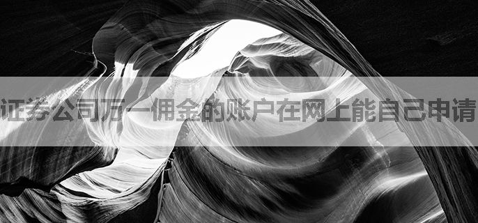 证券公司万一佣金的账户在网上能自己申请吗
