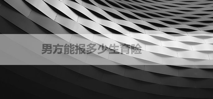 男方能报多少生育险