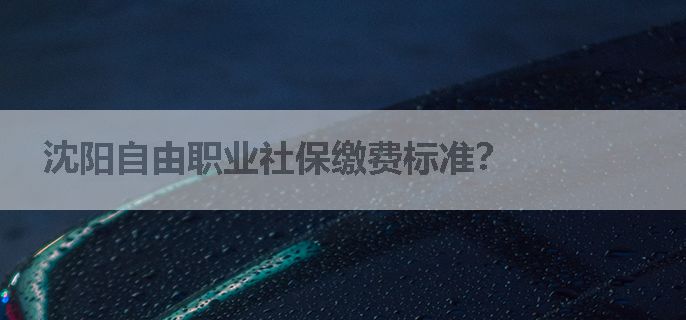 沈阳自由职业社保缴费标准？