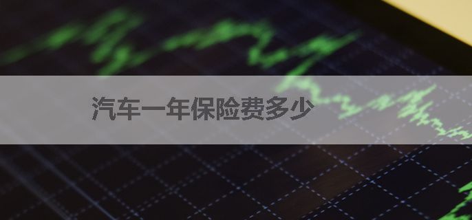 汽车一年保险费多少