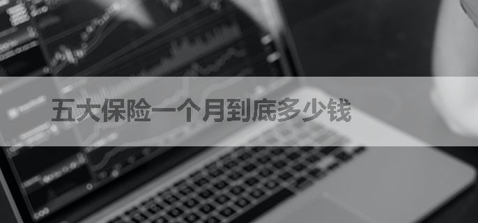 五大保险一个月到底多少钱