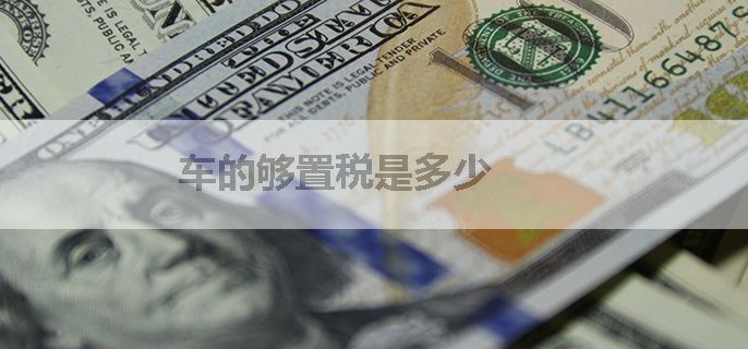车的够置税是多少